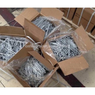 Best Price Common Nails /common Wire Nails With High Quality