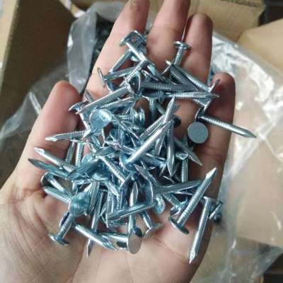 Galvanized cupper nails