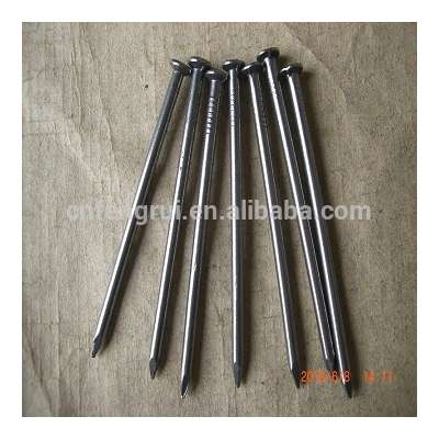 Common Iron Nails factory sales directly