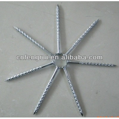 Super quality Twisted nails be used decorative floor