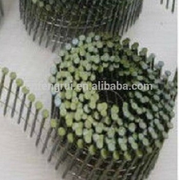 pallet coil nail/coil nails/made in china