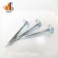 china nails factory top quality clout head zinc plated cupper nails