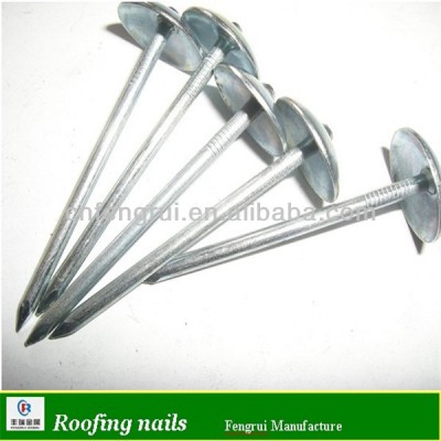 10G roofing common nails cap