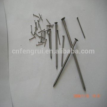 Common Iron Nails With Low Price