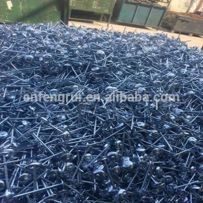 Nigeria market 7lbs 8boxes package high quality unberela roofing nails