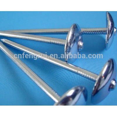 Durable Umbrella head Galvanized roofing nails with plain shank from nais manufacturer