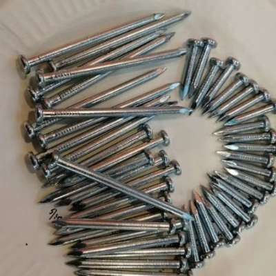 Factory sell galvanized concrete steel nails