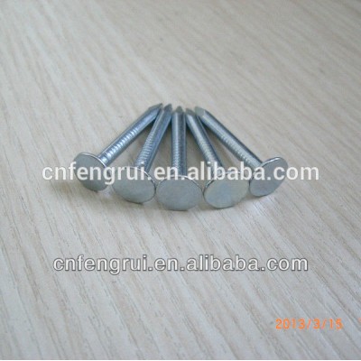 galvanized cupper nails made in Linyi Fengrui Metals Manufacturing Co.,Ltd