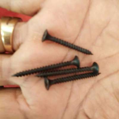 Dry Wall screw