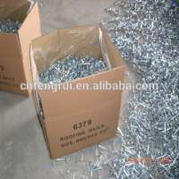 Hot Selling In Nigeria Roofing Nails